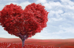 POUR LA SAINT-VALENTIN L’ORIGINE DU GOÛT VOUS OFFRE SON CŒUR.