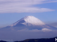Les œufs noirs de Hakone.