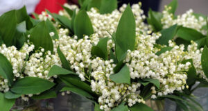 Bon 1er mai à tous.