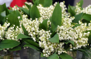 Bon 1er mai à tous.