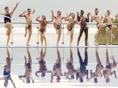 ” Les Crevettes Pailletées ” de Cédric Le Gallo et Maxime Govare.