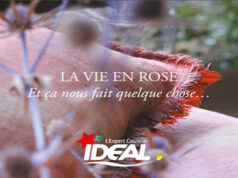 IDEAL : LA VIE EN ROSE Et ça nous fait quelque chose…