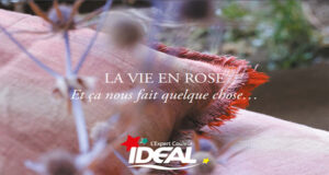 IDEAL : LA VIE EN ROSE Et ça nous fait quelque chose…