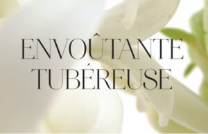 BDK sort la TUBÉREUSE IMPÉRIALE.