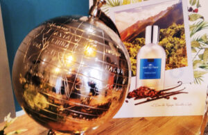 Comptoir Sud Pacifique est couleur café pour AH19