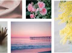 Jovoy présente “Touche Finale “