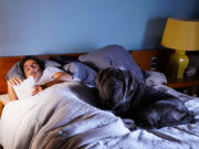 ” Mon chien STUPIDE ” d’Yvan Attal.
