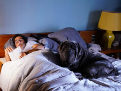 ” Mon chien STUPIDE ” d’Yvan Attal.