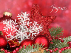 Noël est dans un mois, je vous suggère une 1ère sélection de cadeaux.