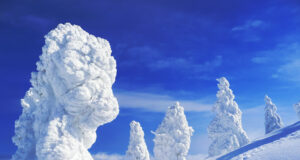 Les Monstres de glace de Zaô Onsen.