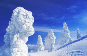 Les Monstres de glace de Zaô Onsen.