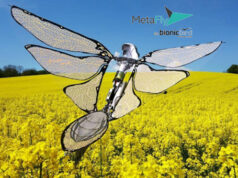 BIONIC BIRD, Le 1er papillon volant biomimétique qui donne vie et réalité à nos rêves les plus fous…de voler et faire voler !