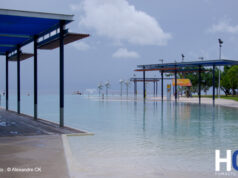 Australie Episode 4 : Cairns ou la vie sauvage à l’état brut!