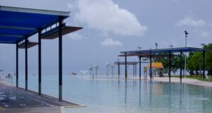 Australie Episode 4 : Cairns ou la vie sauvage à l’état brut!