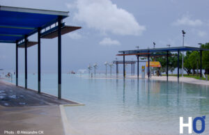 Australie Episode 4 : Cairns ou la vie sauvage à l’état brut!