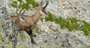 Et si cet été on (re) découvrait la montagne ?