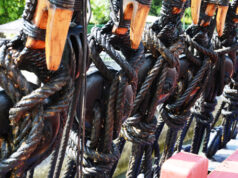 Voyage en Charente Maritime, suite et fin.