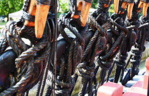 Voyage en Charente Maritime, suite et fin.