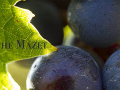 ROCHE MAZET : CLAIREMENT ROSÉ.