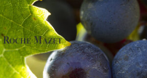 ROCHE MAZET : CLAIREMENT ROSÉ.