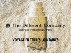 THE DIFFERENT COMPANY : Voyages en terres lointaines