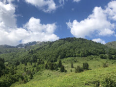 Alpes du Nord : 3 idées de balades thématiques