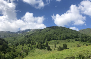 Alpes du Nord : 3 idées de balades thématiques