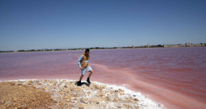 COLLABORATION KAPORAL X SUPER MARCHÉ