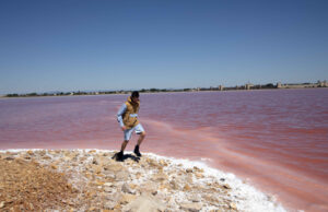 COLLABORATION KAPORAL X SUPER MARCHÉ