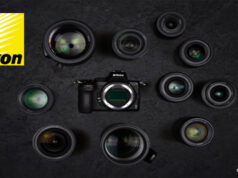 Le Kit Nikon Z 5 + 24-50mm f/4-6.3 est disponible en magasin !