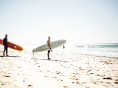 C’EST L’AUTOMNE DANS LE MÉDOC !