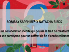 Deux cadeaux : Coffret de gin Bombay Bramble et Coffret du Martini Fiero pour accompagner le panettone.
