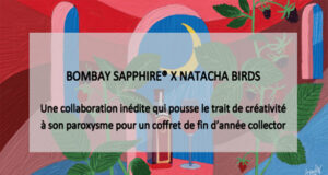 Deux cadeaux : Coffret de gin Bombay Bramble et Coffret du Martini Fiero pour accompagner le panettone.