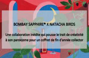 Deux cadeaux : Coffret de gin Bombay Bramble et Coffret du Martini Fiero pour accompagner le panettone.