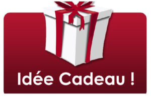 Quels cadeaux allez-vous offrir pour les Fêtes de fin d’année? Suite…