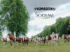 LES FROMAGEURS, LE PLUS COURT CHEMIN POUR ACCÉDER AUX MEILLEURS FROMAGES DE TERROIRS !