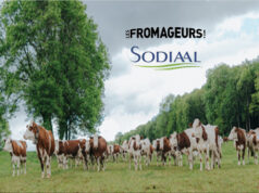 LES FROMAGEURS, LE PLUS COURT CHEMIN POUR ACCÉDER AUX MEILLEURS FROMAGES DE TERROIRS !