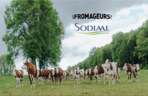 LES FROMAGEURS, LE PLUS COURT CHEMIN POUR ACCÉDER AUX MEILLEURS FROMAGES DE TERROIRS !