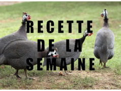 Pour les fêtes de fin d’année, pourquoi ne pas cuisiner une Pintade ?