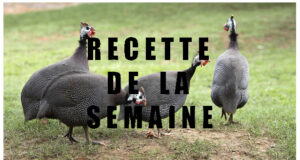 Pour les fêtes de fin d’année, pourquoi ne pas cuisiner une Pintade ?