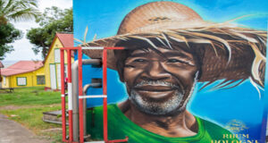 BOLOGNE passe au vert et dévoile le premier rhum bio de Guadeloupe