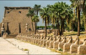 Confiné ? continuez à rêver…