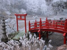 Sérénité japonaise en Anjou