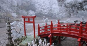 Sérénité japonaise en Anjou