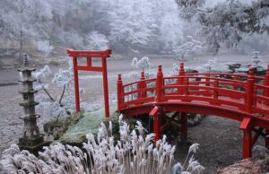 Sérénité japonaise en Anjou