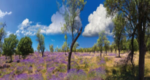 La Hongrie : destination verte !