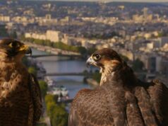 Voyager : oui mais où ?