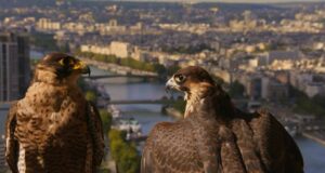 Voyager : oui mais où ?