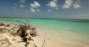 La Nouvelle-Calédonie reconnue destination durable 2021