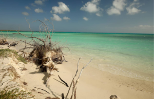 La Nouvelle-Calédonie reconnue destination durable 2021